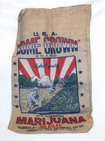 Home Grown Marijuana