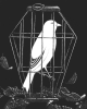 Caged Bird Surrounded by Memories of a Past Freedom (by Radical Graphics) --- Description: This image came from http://www.RadicalGraphics.org/.Keywords: Bird, Beak, Cage, Feather, Wing, Leaves, Leaf, Bars, Perch, Claws, Imprisonment, Caged, Confinement.
